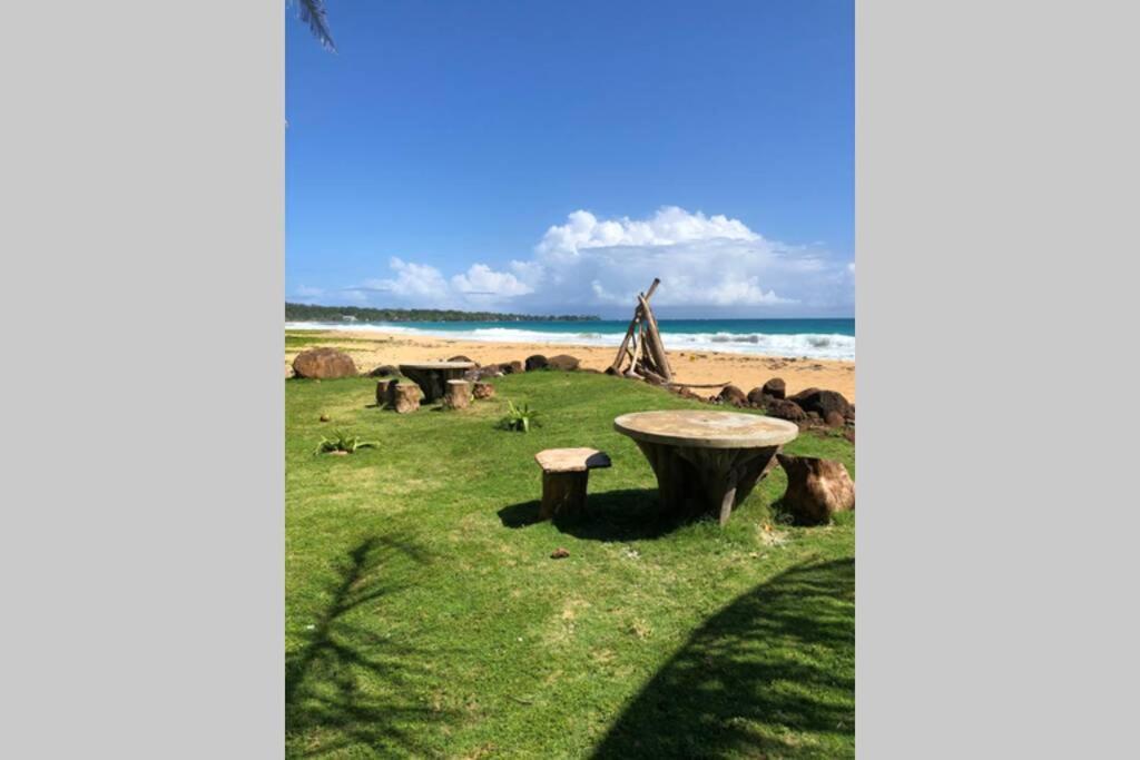 Coconut Castle at Lodge at Long Bay South End Eksteriør billede